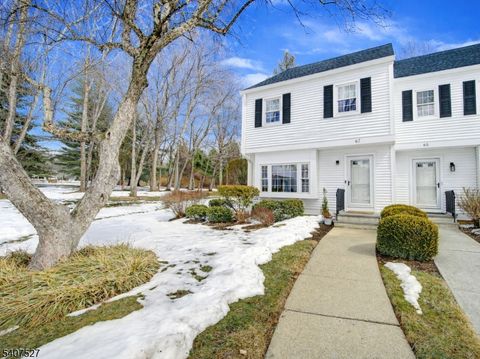 67 Hampshire Dr Mendham Boro NJ 07945