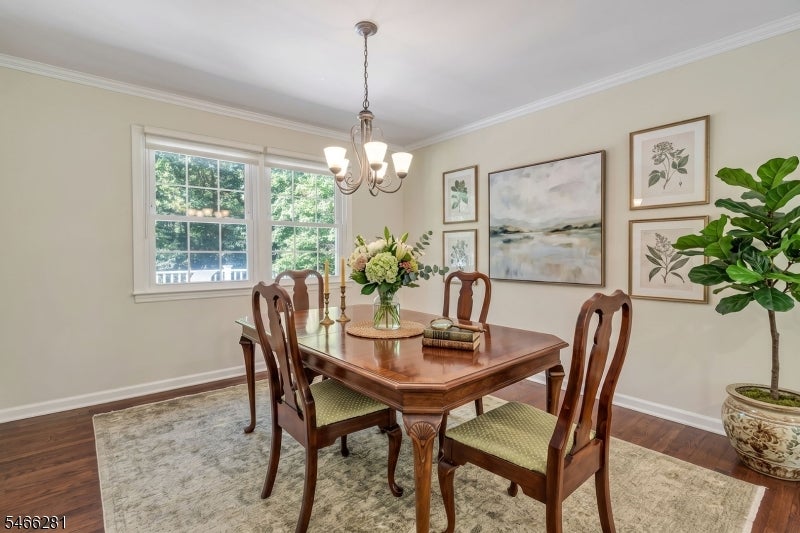 6 Dorothy Dr
