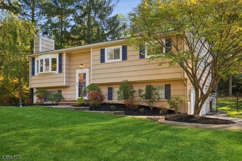 Photo of 1 Pamela Dr, Randolph, NJ 07869 (MLS # 3993420)