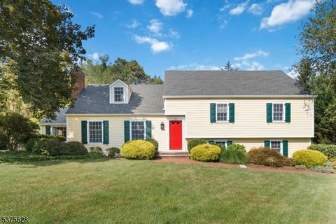 55 May Dr Chatham Twp. NJ 07928