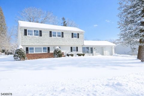 5 Hopping Ln Florham Park Boro NJ 07932