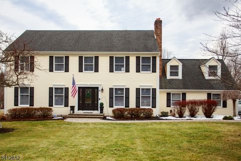 4 Victoria Dr Mount Olive Twp. NJ 07836