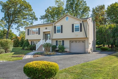 9 Dixon Pl East Hanover Twp. NJ 07936