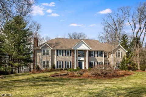 5 Green Hill Rd Chester Twp. NJ 07930