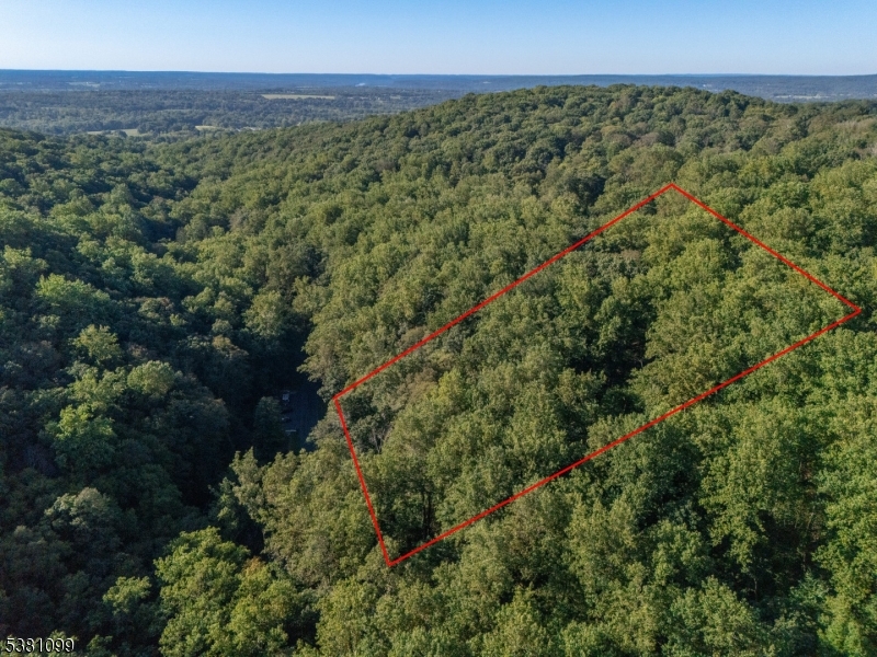 00 Sweet Hollow Road