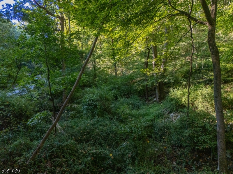 00 Sweet Hollow Road