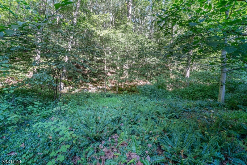 00 Sweet Hollow Road