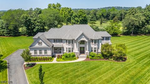 8 Philhower Ct Denville Twp. NJ 07834