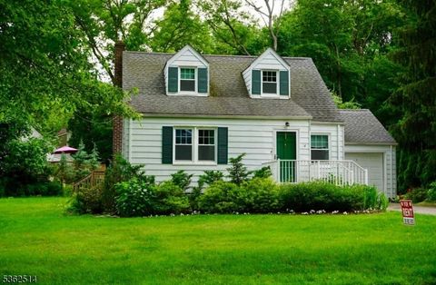 14 Center Dr Mountain Lakes Boro NJ 07046