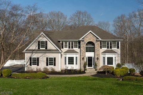 9 Partridge Ln Holland Twp. NJ 08848