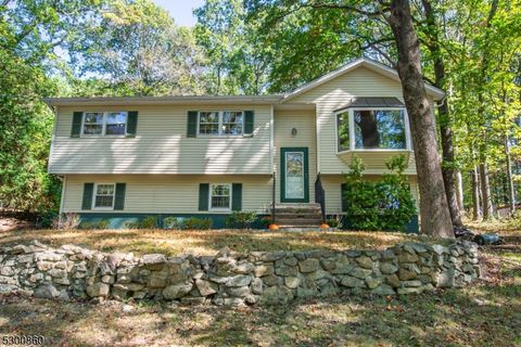 10 Budd Lake Heights Rd Mount Olive Twp. NJ 07828