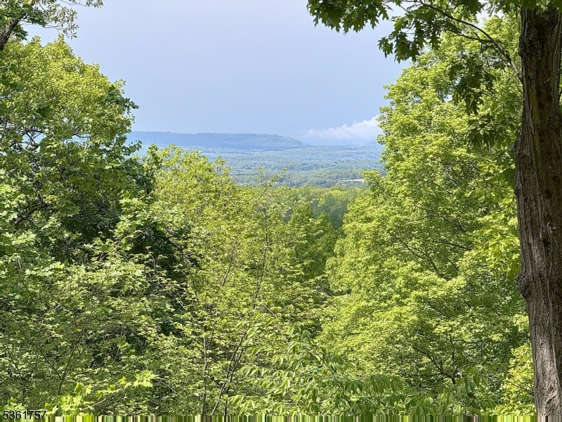 172 Alpine Trail