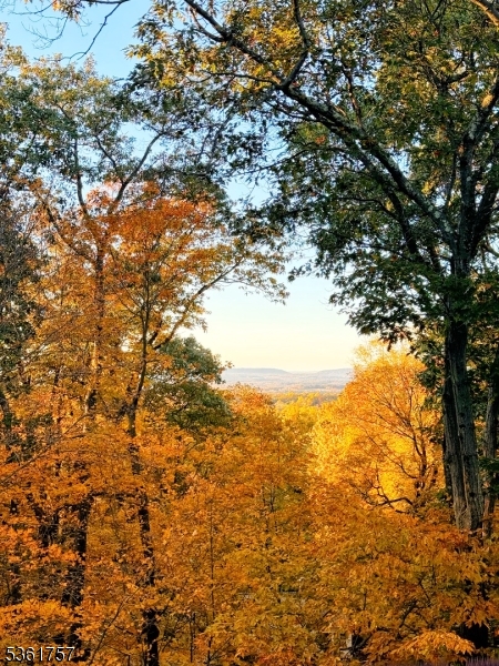 172 Alpine Trail