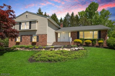 157 Spring Ridge Dr Berkeley Heights Twp. NJ 07922
