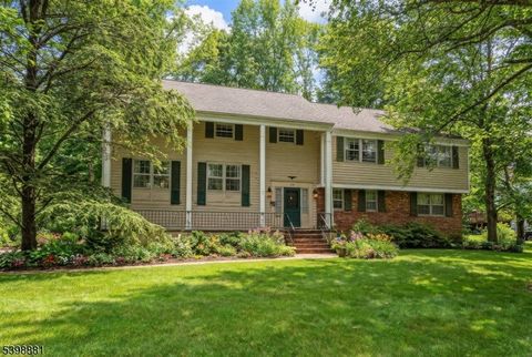 14 Skylark Rd Springfield Twp. NJ 07081