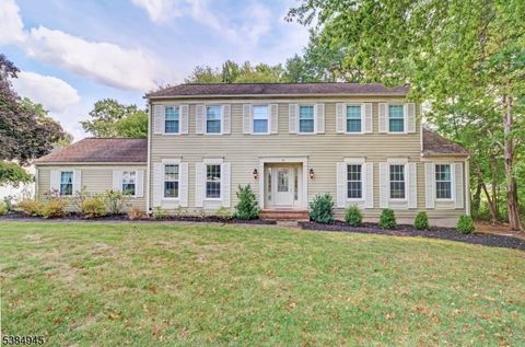 22 Valley View Dr East Hanover Twp. NJ 07936