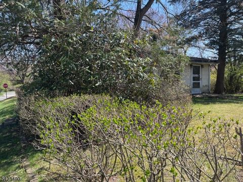 63 Reynolds Ave Hanover Twp. NJ 07981