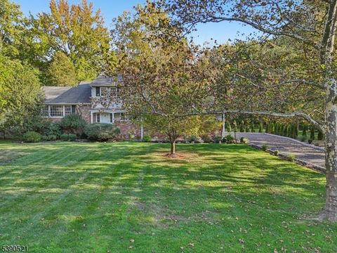 2004 Winding Brook Way Scotch Plains Twp. NJ 07076
