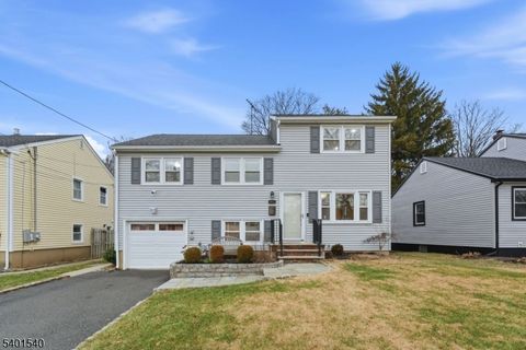 417 Victor St Scotch Plains Twp. NJ 07076