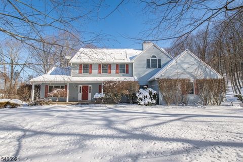 15 Vista Dr Rockaway Twp. NJ 07005