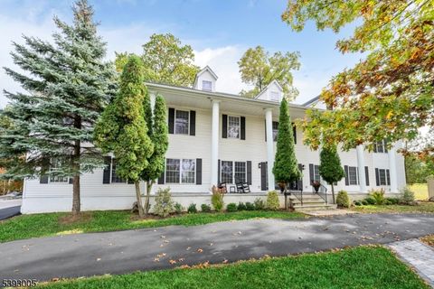 3 Bachman Ter West Orange Twp. NJ 07052