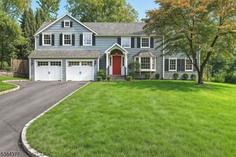 27 Overlook Rd Chatham Twp. NJ 07928
