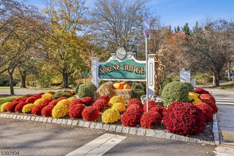 Photo of 155 Jamestown Rd, Bernards, NJ 07920 (MLS # 3994097)