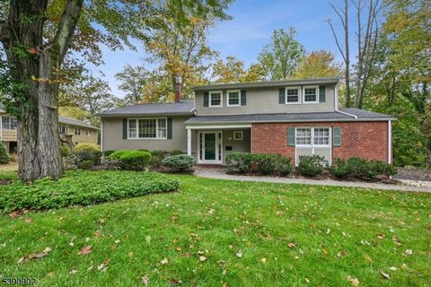 106 Stoneridge Rd New Providence Boro NJ 07974