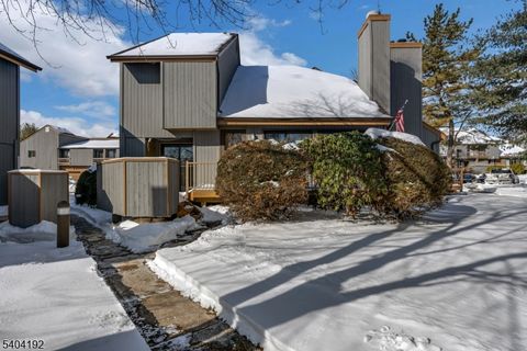 85 Sycamore Ct Ondo Bernards Twp. NJ 07920