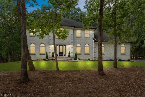 14 Deer Run Dr Millstone Twp. NJ 08510