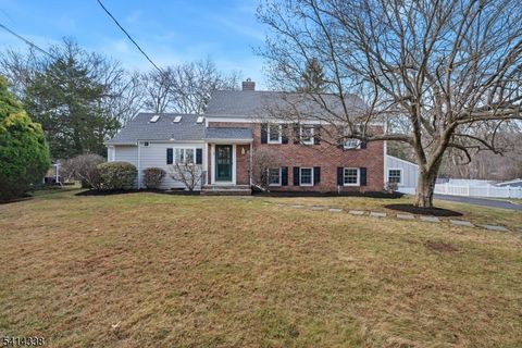 3 Starlight Dr Morris Twp. NJ 07960