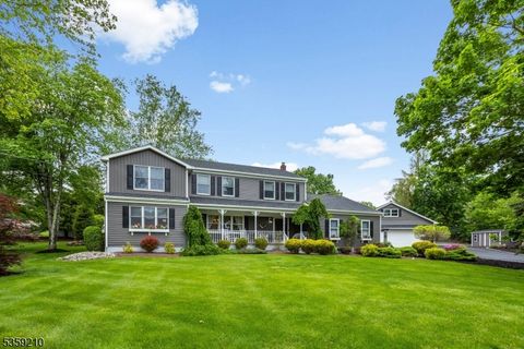 226 Morris Tpke Randolph Twp. NJ 07869