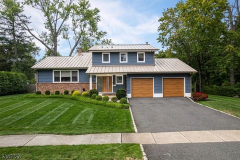 57 Parrott Mill Rd Chatham Boro NJ 07928