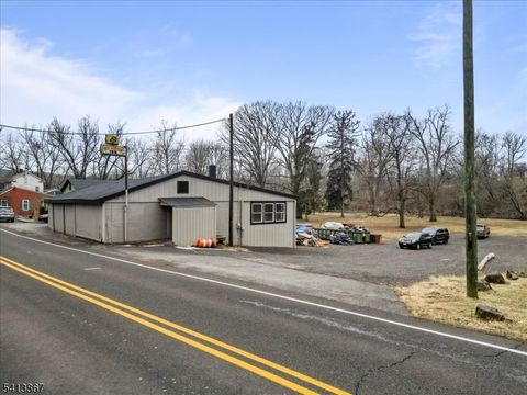 23 Musconetcong River Road Hampton Boro NJ 08827