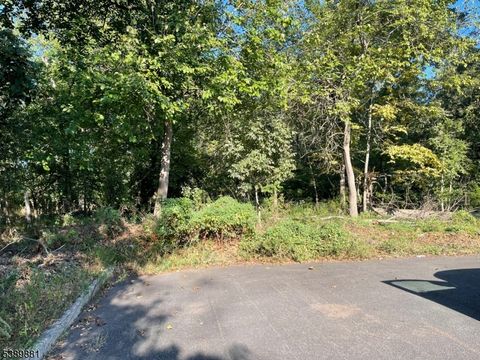 Photo of 76 Woodland Rd, Piscataway, NJ 08854 (MLS # 3991284)