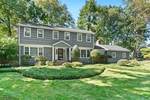 23 Walter St Old Tappan Boro NJ 07675