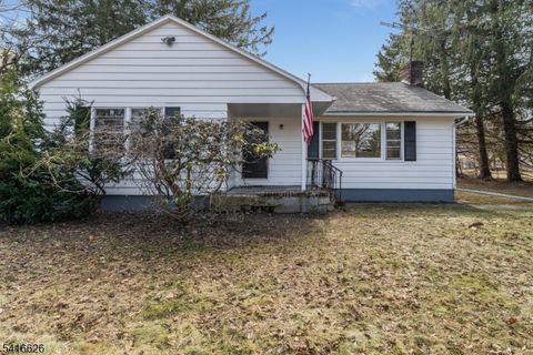 49 Valley Rd Hampton Boro NJ 08827