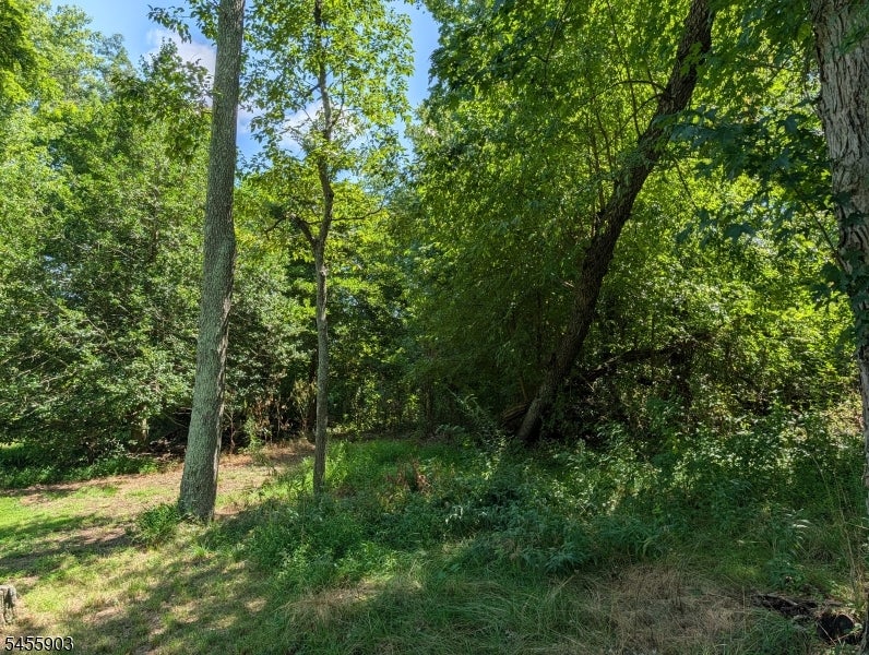 425 Julius Pemberton Rd