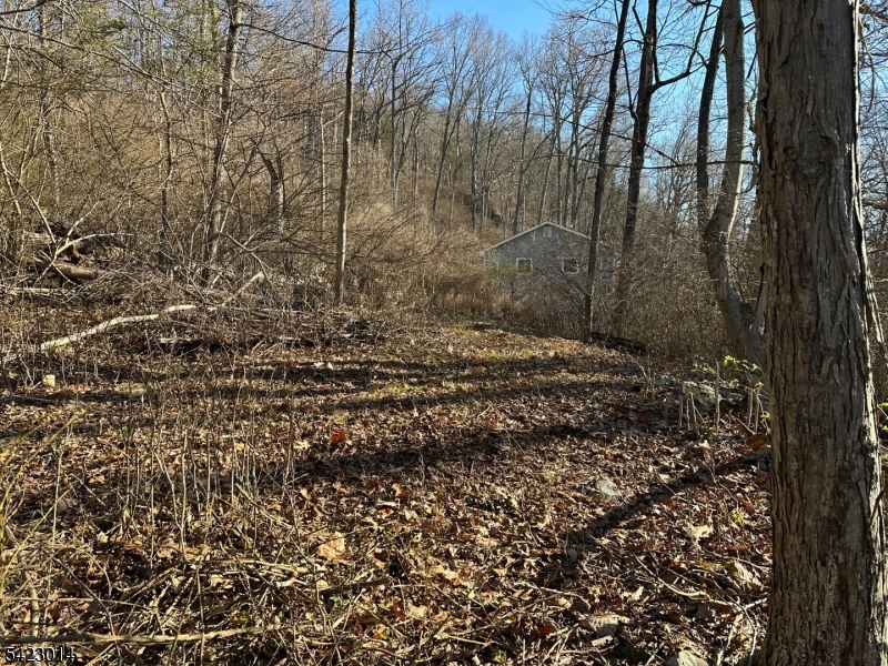 43 Hemlock Ave
