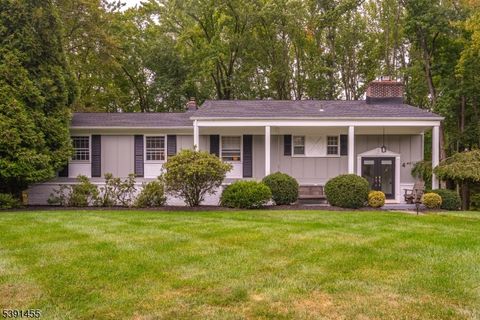 4 Brandywine Ct Scotch Plains Twp. NJ 07076