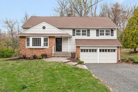 9 Red Hill Rd Warren Twp. NJ 07059