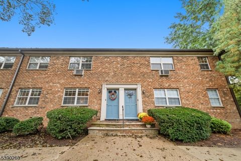 19 Savage Road 3 Denville Twp. NJ 07834