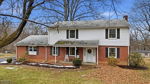 97 Skyview Dr Washington Twp. NJ 07882