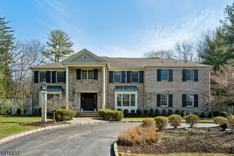 3 Denman Ct Millburn Twp. NJ 07078