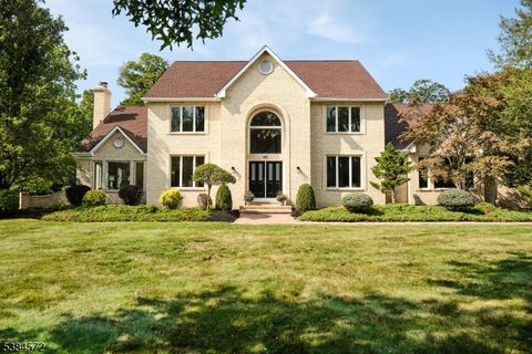 30 Woodview Dr Montgomery Twp. NJ 08502