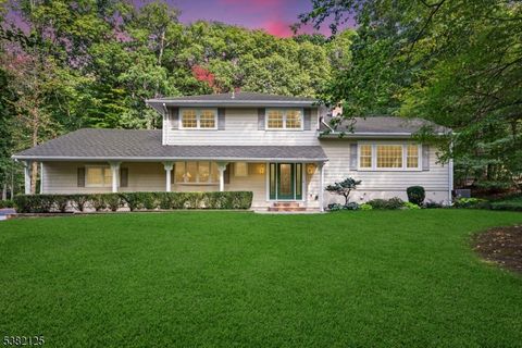 16 Robin Road Warren Twp. NJ 07059