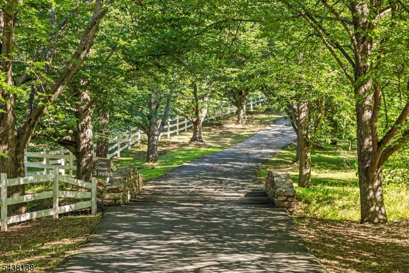 65 Brookville Hollow Rd