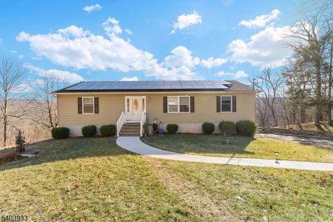 21 Mountaintop Rd Montague Twp. NJ 07827