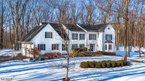 7 Chestnut St Washington Twp. NJ 07853