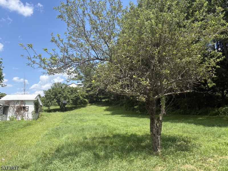 23 Old Rudetown Rd